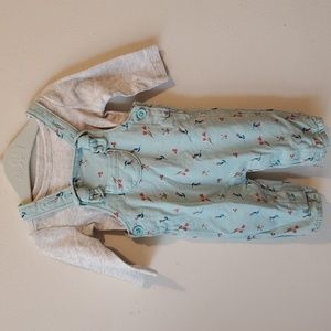 Carter's overalls